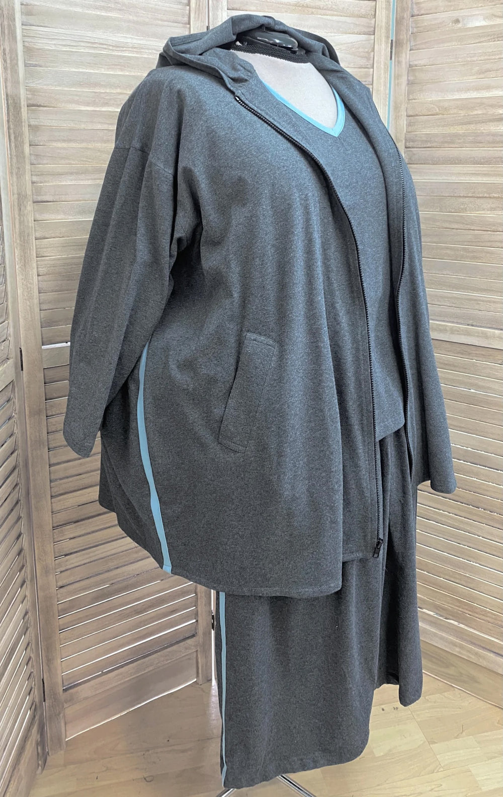 Hoodie Zip Jacket with Stripes